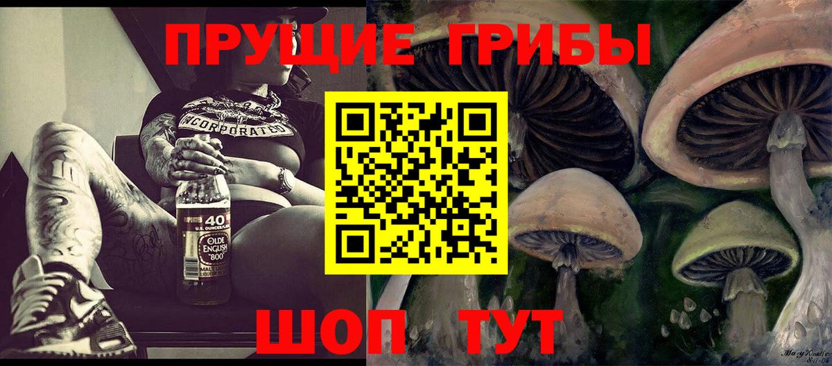 Псилоцибиновые грибы Psilocybe Кольчугино