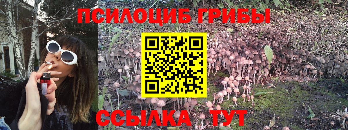 купить наркотик  Вход с VPN  Кольчугино  Галлюциногенные грибы ЛСД 
